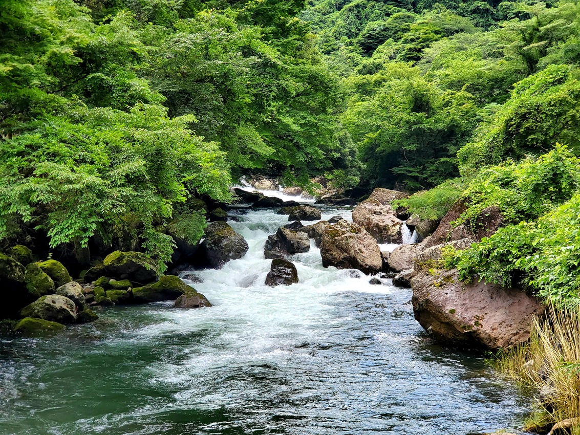 白水の滝 しらみず 観光スポット たけ旅 Take Tabi 竹田市観光ツーリズム協会