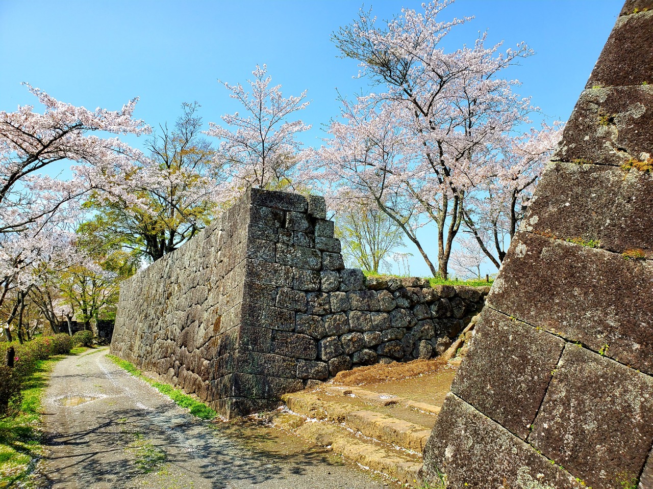 岡城跡の写真