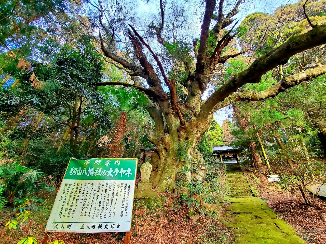 籾山八幡社（籾山神社）