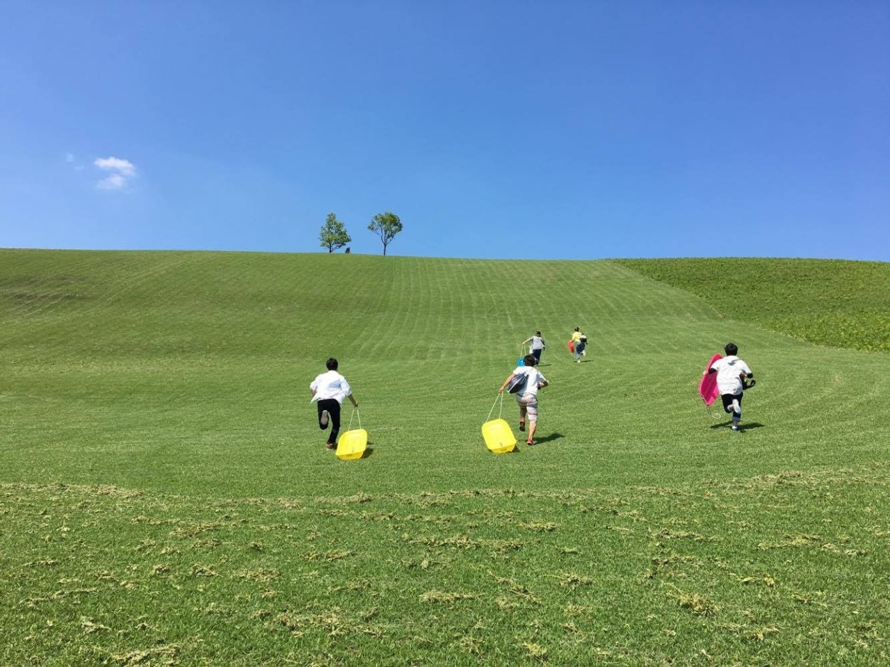 Kuju Kogen Doshin Kaiki Farm Experience the Thrill of Sledding Down a Steep Hill on Grass Sleds