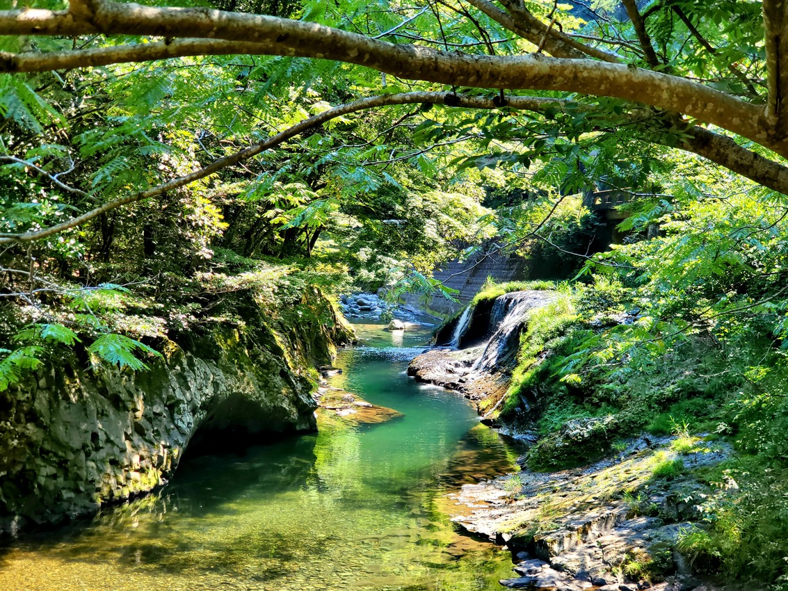 神原渓谷の写真