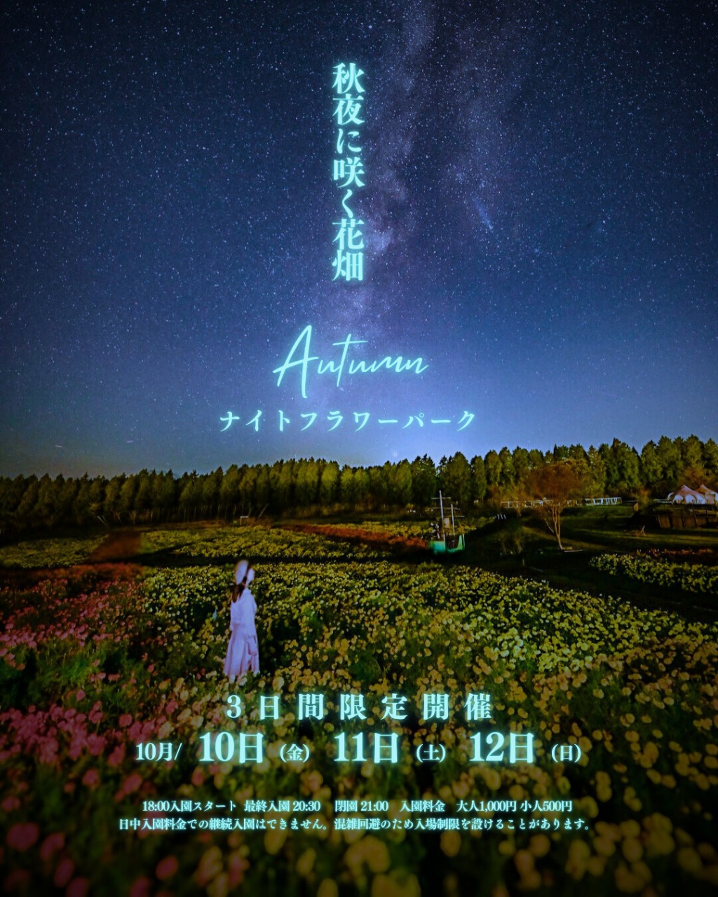 ナイトフラワーパーク Autumn