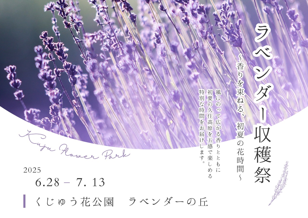 ラベンダー収穫祭 〜香りを束ねる、初夏の花時間〜