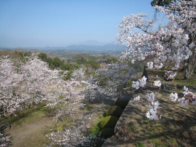 岡城跡8