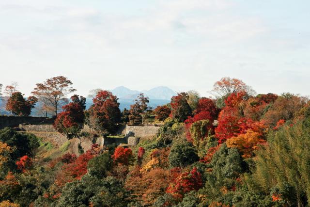 岡城跡紅葉2