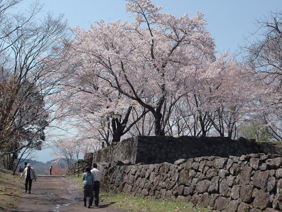 岡城跡9