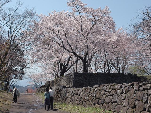 岡城跡9