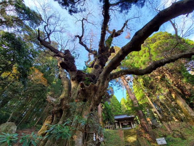 籾山神社