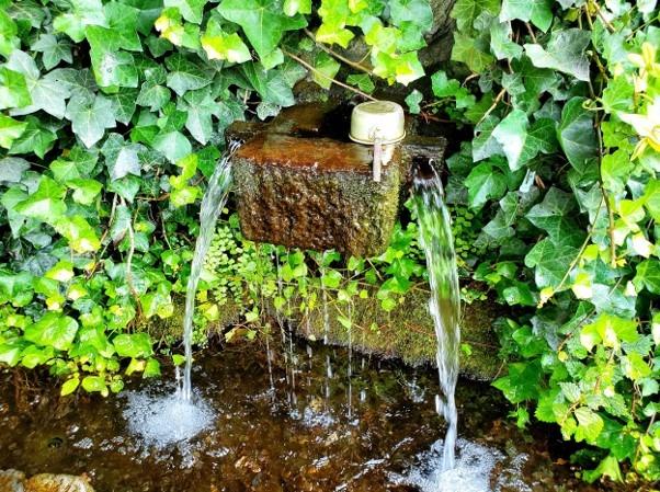 小津留湧水の写真